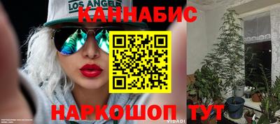 прущие грибы Ипатово