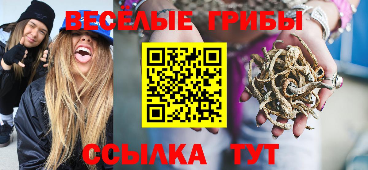 Галлюциногенные грибы прущие грибы Коряжма