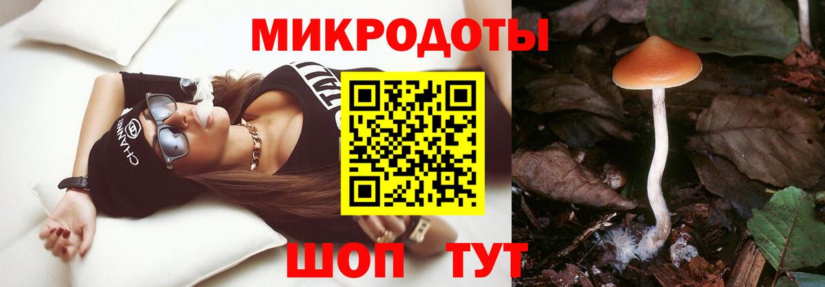 Коряжма  Галлюциногенные грибы ЛСД  Вход с VPN 