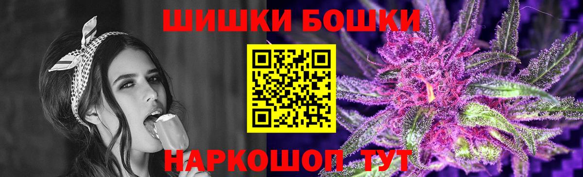 НБОМе Коряжма